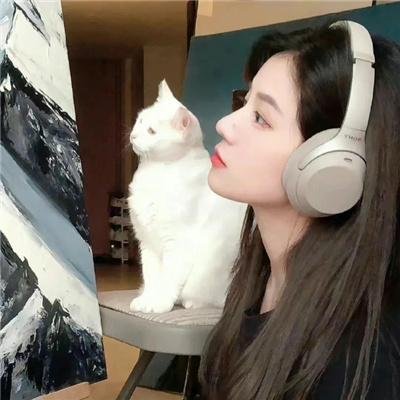 哈文克