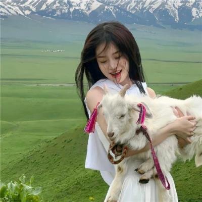 作死之旅